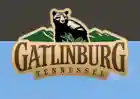 gatlinburg.com